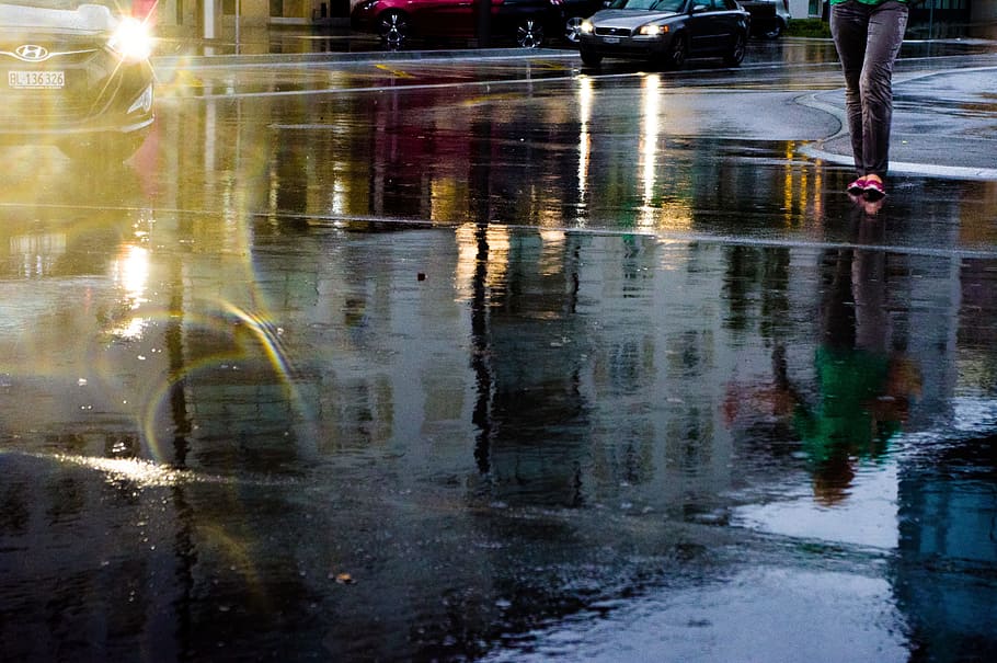 人, 歩く, に沿って, 通り, ミラーリング, 道路, 水, 雨, 自動車, 交通