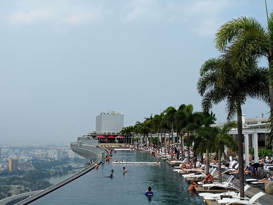 cingapura, marina, baía, areias, piscina, piscina infinita, palmeiras, telhado, céu, estouro