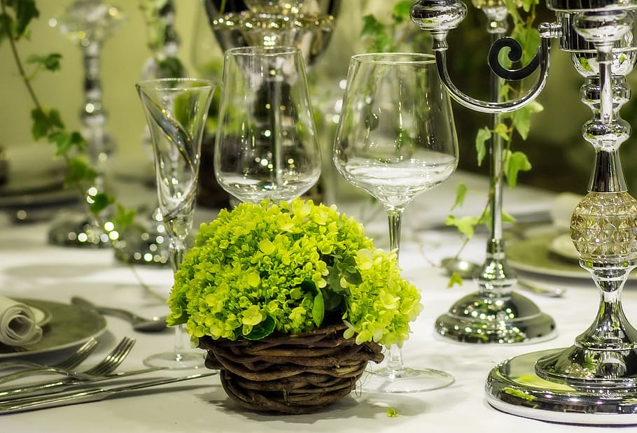 Flower, Nice, Blooming, Beautiful, Fresh, beautiful fresh, background, beauty, banquet table, europe