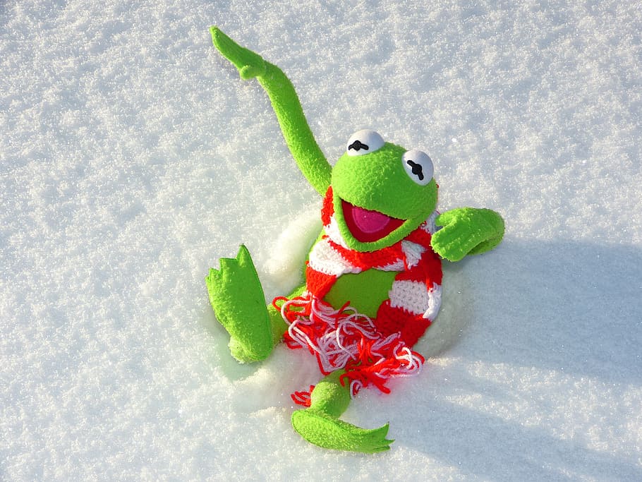 green, tree frog, plush, toy, snow, kermit, frog, fun, winter, cold