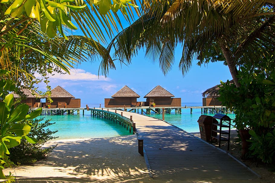 nipa hut, boat dock, body, water, veligandu island, maldives, veligandu, relaxation, exotic, tropical