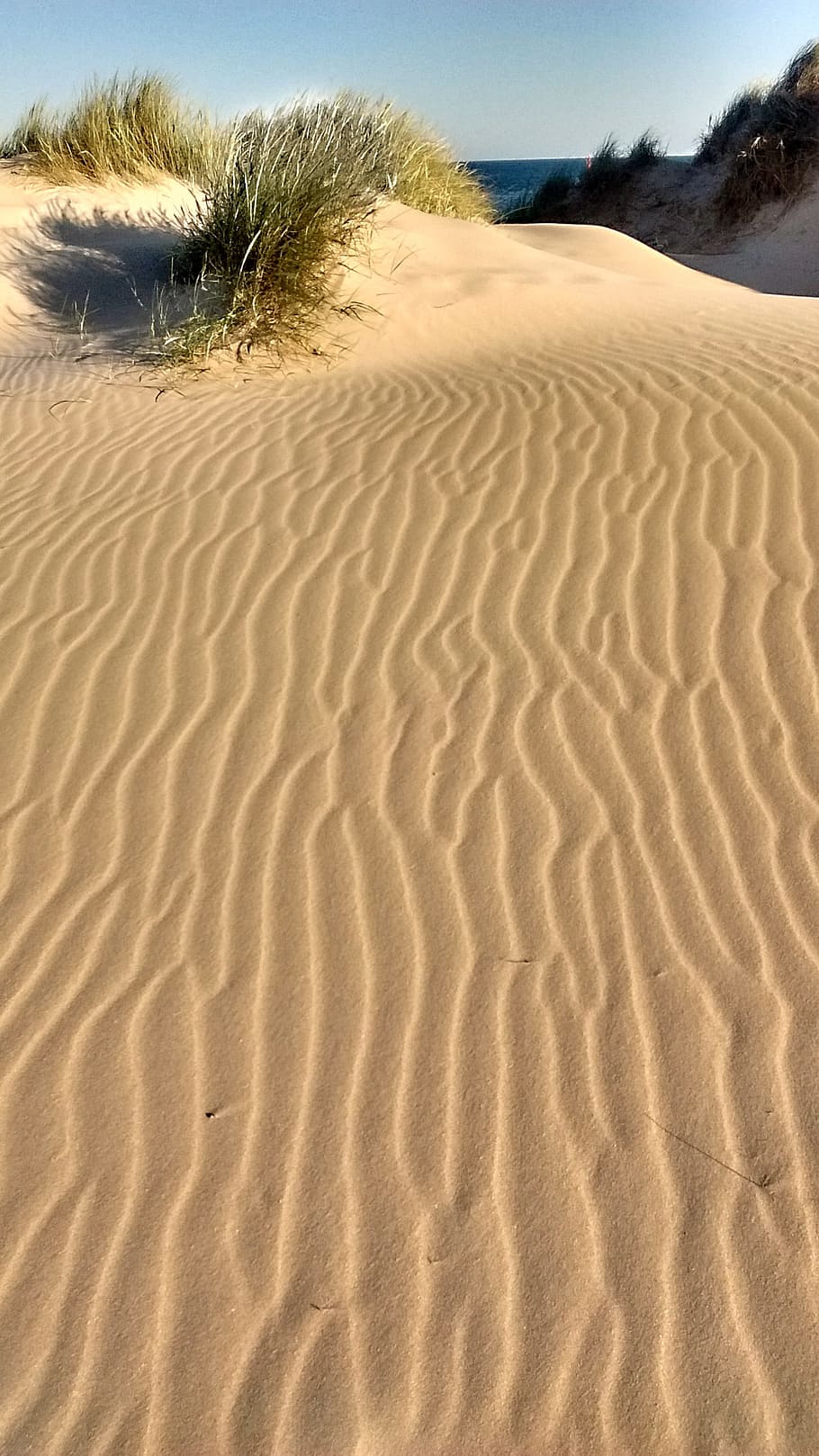 dune, sand, landscape, summer, france, sea, beach, golden sand, blue sky, atlantic coast