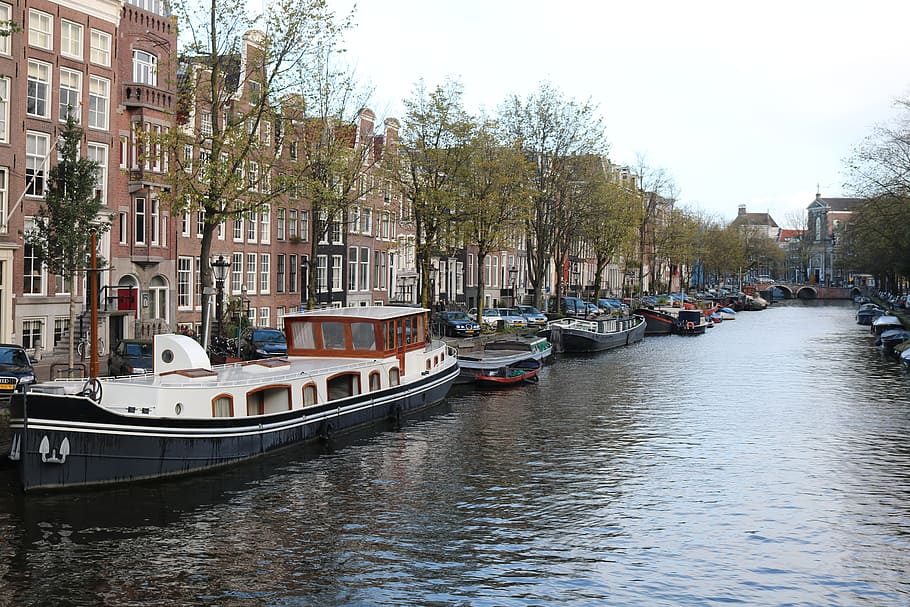 amsterdam, netherlands, capital, city, architecture, holland, travel, canal, europe, building