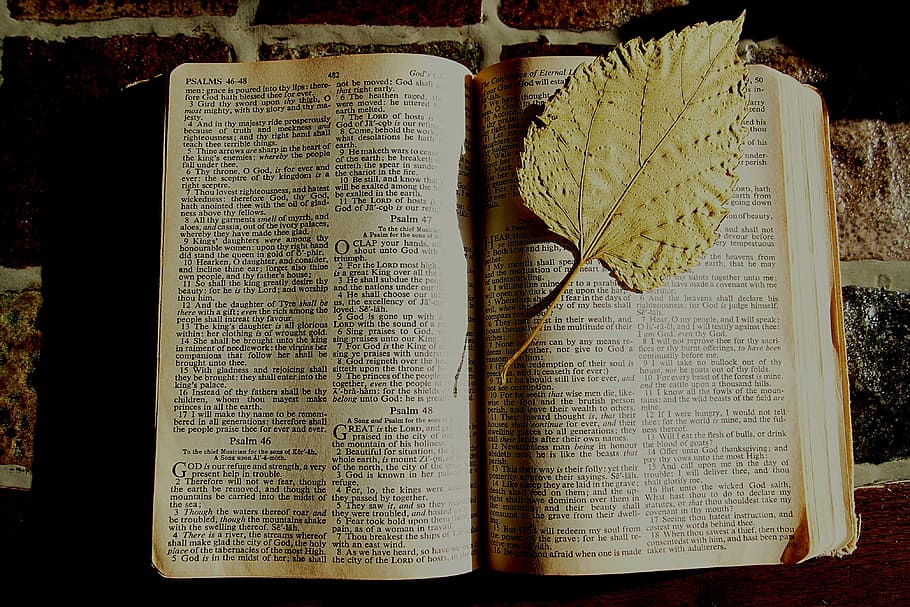 opened, book, leaf bookmark, bible, bookmark, dried leaf, christian, faith, page, old testament