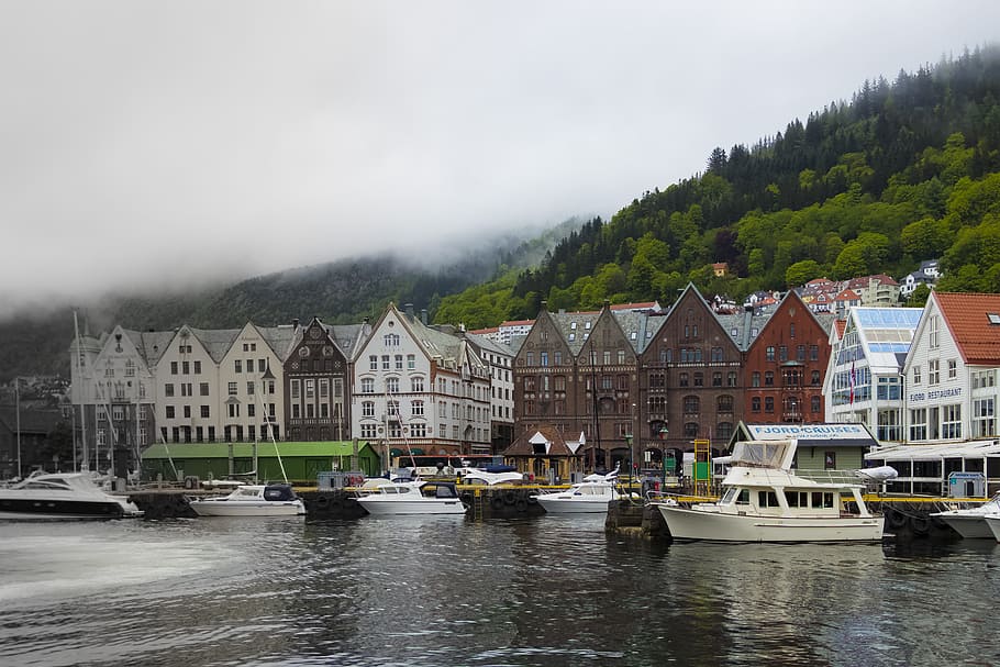 norway, bergen, summer, port, sea, holidays, ship, water, tourism, haven