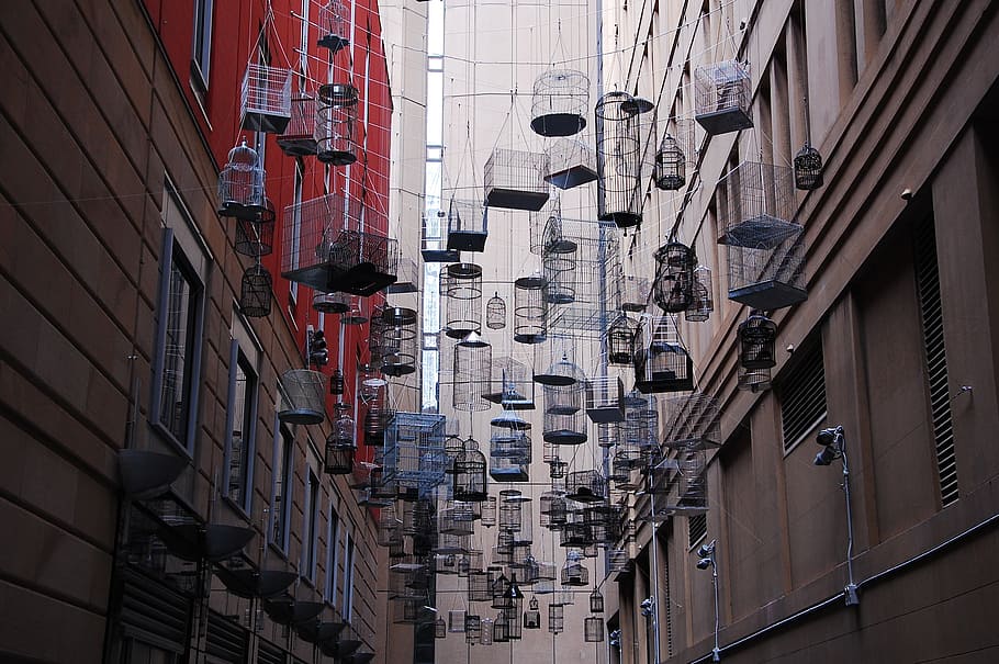 cage, hanging, middle, building, sydney, birdcage, installation, art, art object, modern art