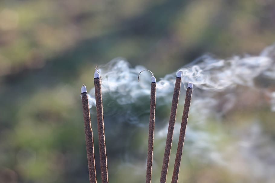 five, brown, incense sticks, smoke, blow, incense, sticks, focus on foreground, day, close-up