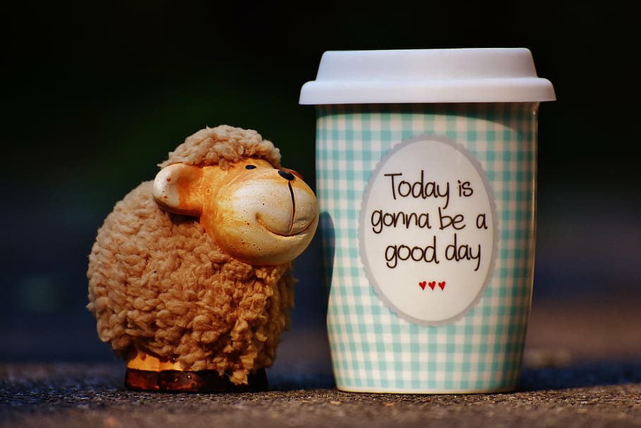 estatueta de ovelhas, próximo, copo de plástico, ovelha, lindo dia, alegria, café, copo, feliz, felicidade