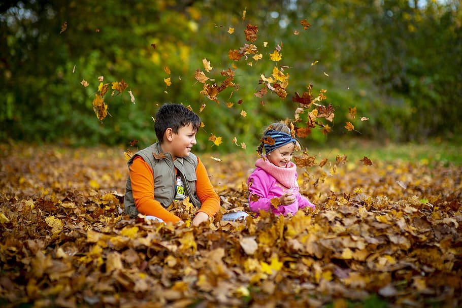crianças felizes brincando na floresta, folhas amarelas, folhas, rotação giratória, outono, infância, criança, descendência, meninas, duas pessoas