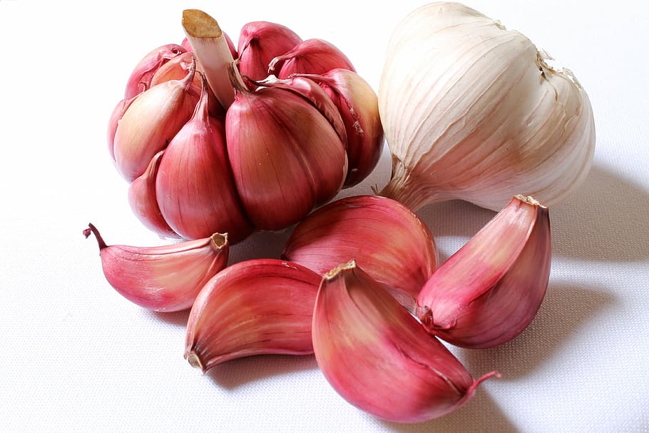 onion and garlic, garlic, purple garlic, head of garlic, clove of garlic, seasoning, culinary, medicinal, natural remedy, health