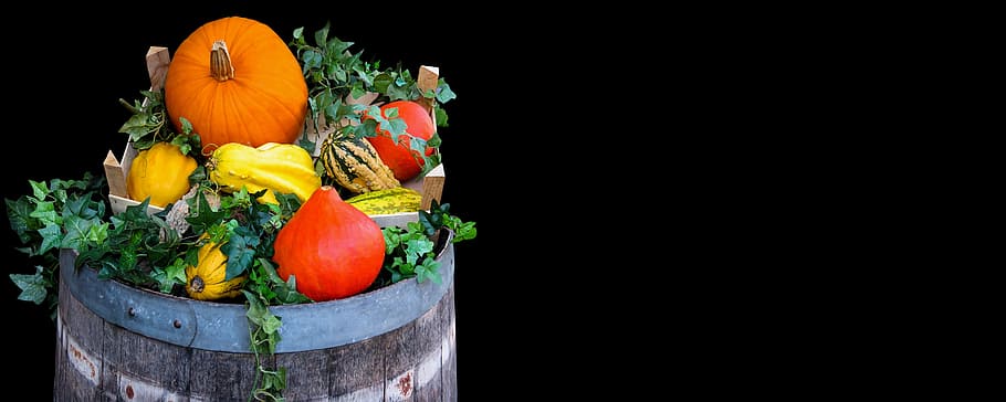 photography, variety, vegetables, nature, harvest, autumn, agriculture, pumpkin, barrel, ivy