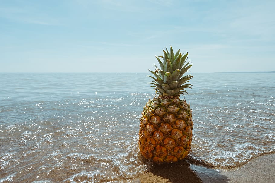 pineapple, dessert, appetizer, fruit, juice, crop, beach, ocean, sea, sand