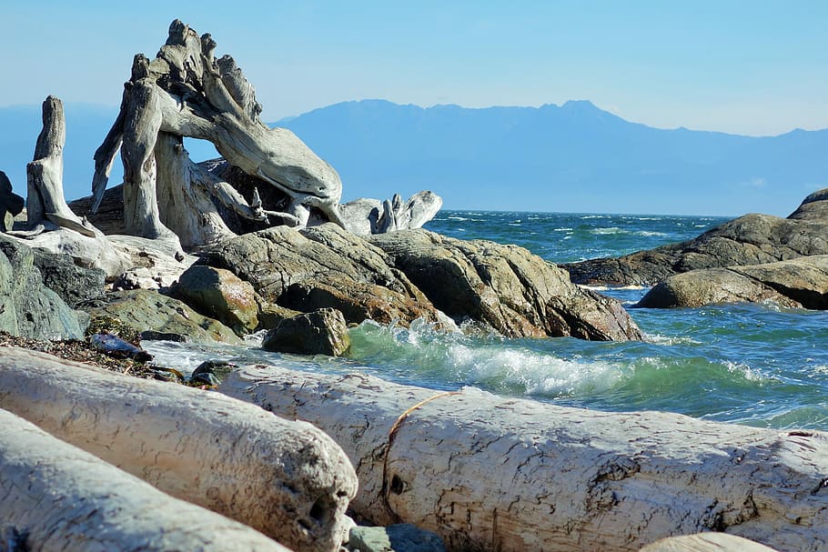 Océano, Victoria, BC, Drift Wood, ninguna gente, al aire libre, día, mar, naturaleza, cielo