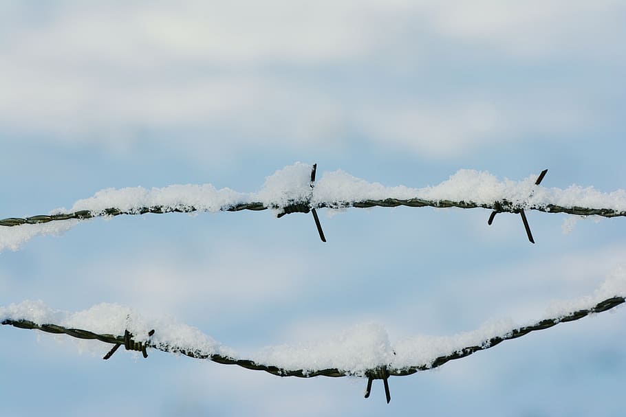 snow, barbed wire, snowy, winter, wintry, prickly, cold, snow crystals, winter cold, white