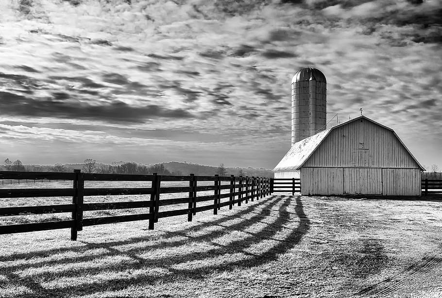 grayscale photo, barn, cloudy, sky, daytime, monochrome, scenery, landscape, classic, country