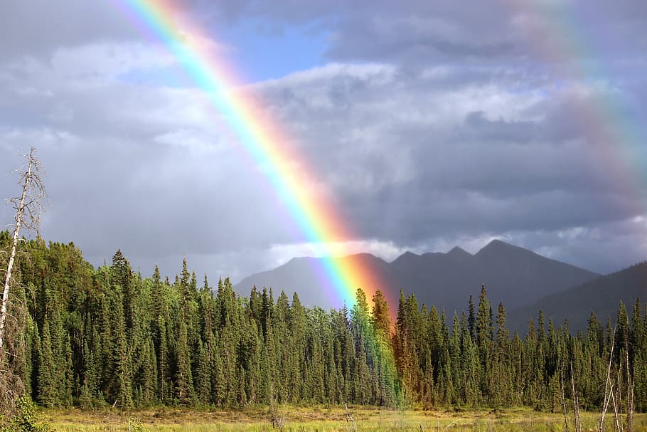 mountain, green, trees, rainbow, rain, arch, toad river, rainbow colors, double rainbow, british columbia