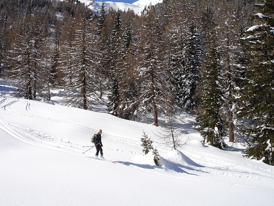 esqui de fundo, sertão, alpinismo de esqui, excursão de esqui, skitouren goers, val d'ultimo, sul do tirol, itália, inverno, neve