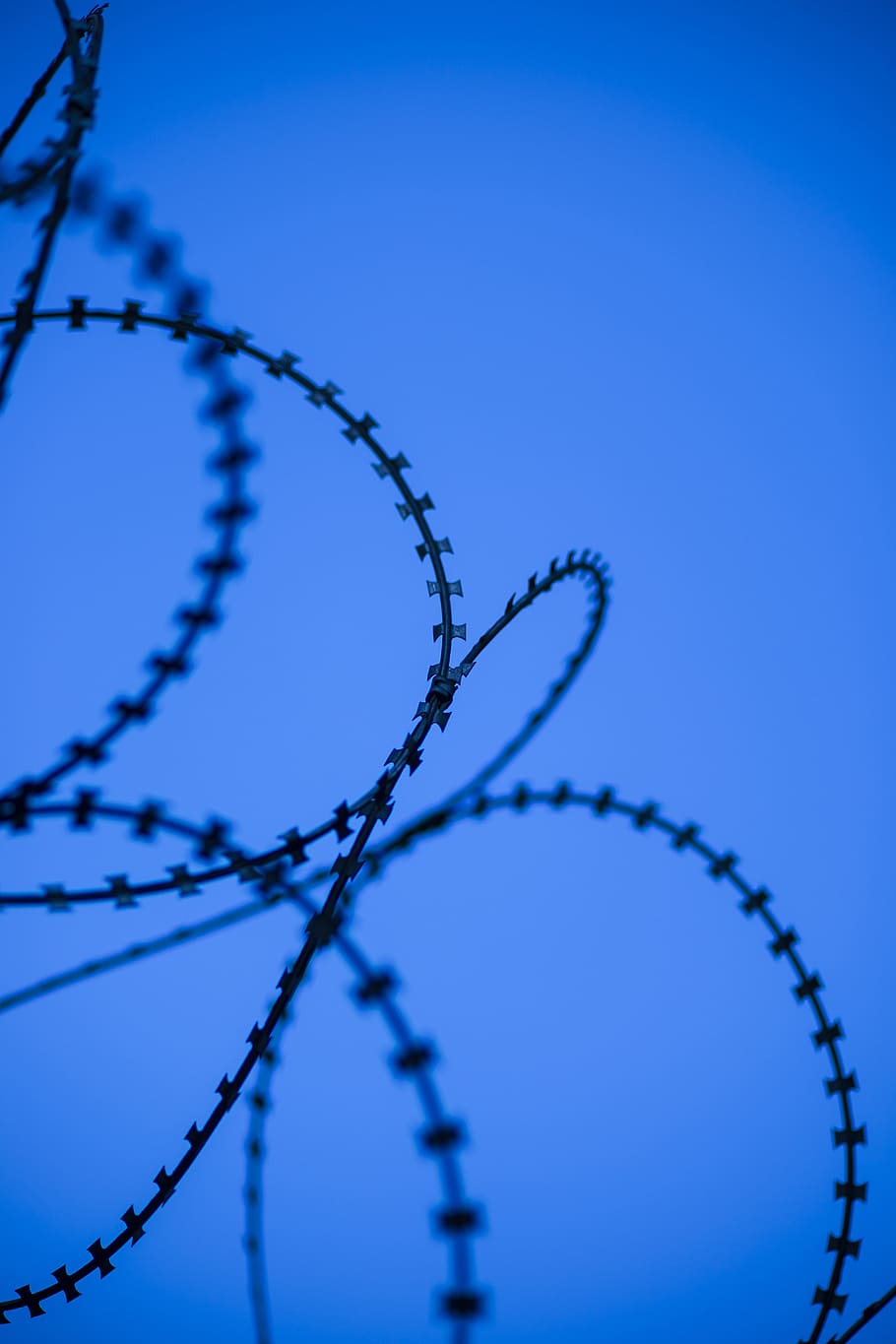 Wire, Prison, Barricade, blue, barbed wire, sharp, macro, engel, copy space, backgrounds