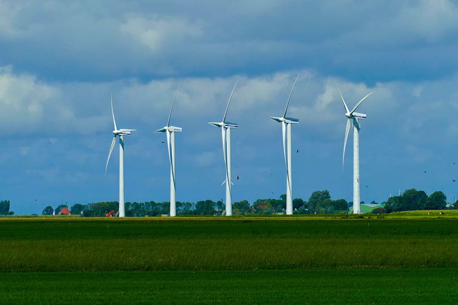mills, windmills, friesland, countryside, energy, flow, wind, netherlands, holland, mill