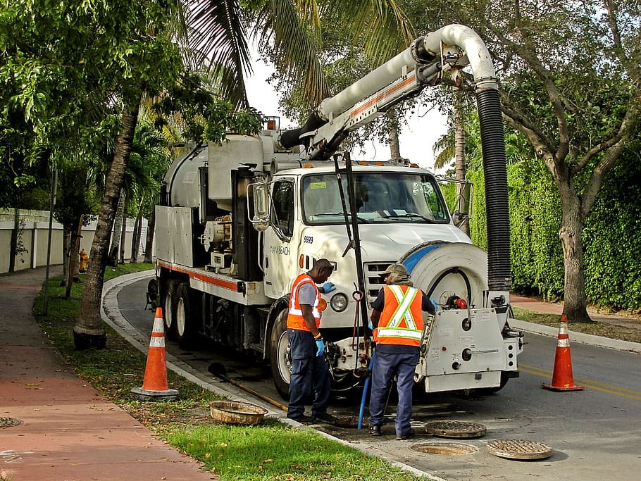 public works, sewer, workers, truck, tree, mode of transportation, plant, transportation, land vehicle, occupation
