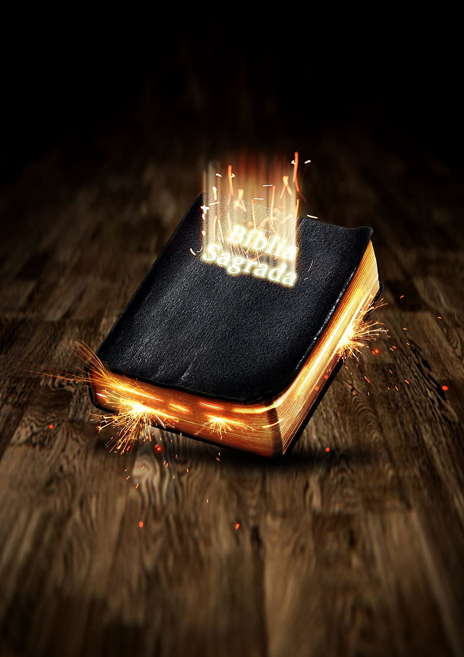 Biblia Sagrado 木板の表面 聖書 壁紙 神の言葉 イエス 言葉の力 届ける言葉 木材 素材 人なし Pxfuel