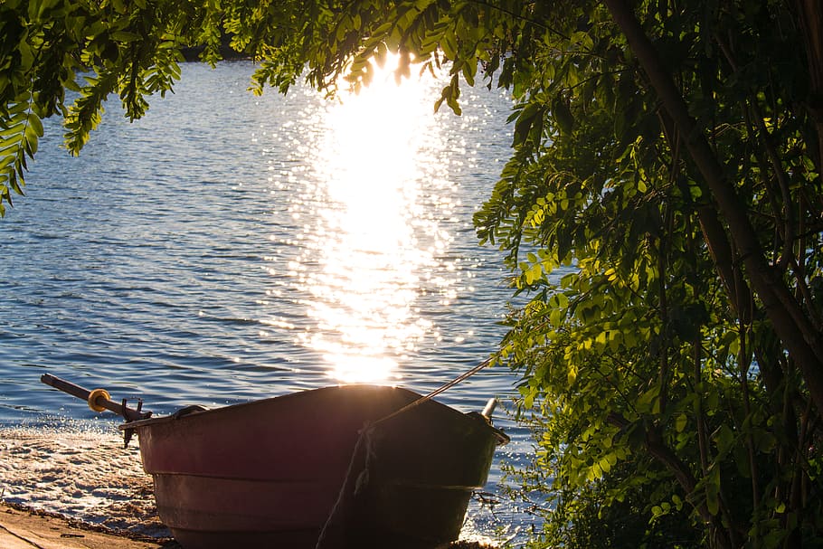 El silencio, bote de madera marrón, agua, árbol, planta, naturaleza, luz de sol, nadie, día, lago