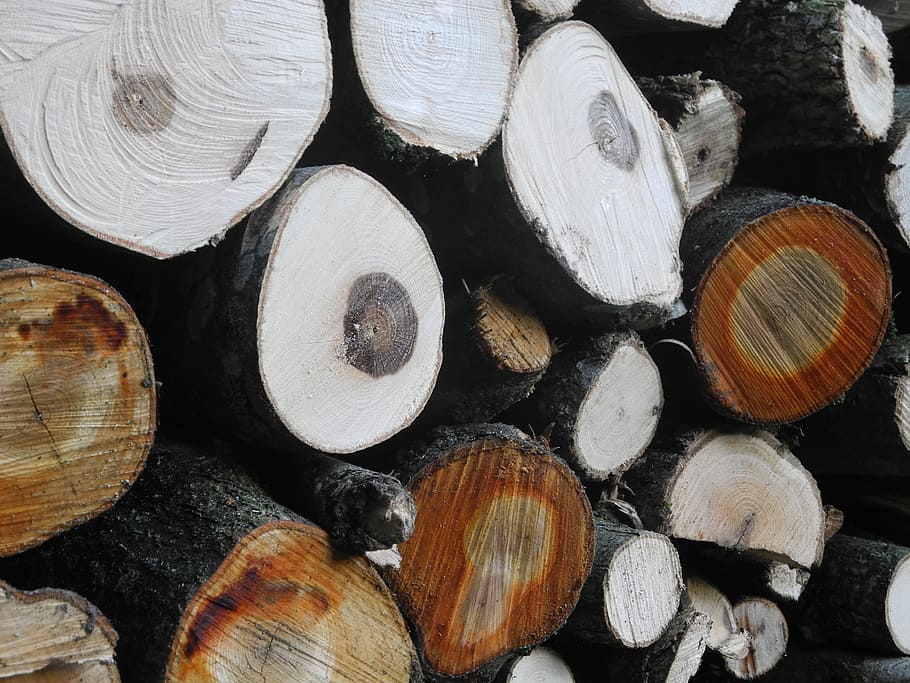 madera, troncos de árboles, bosque, peines para cortar hilos, naturaleza, madera laminada, anillos anuales, holzstapel, tronco, leña