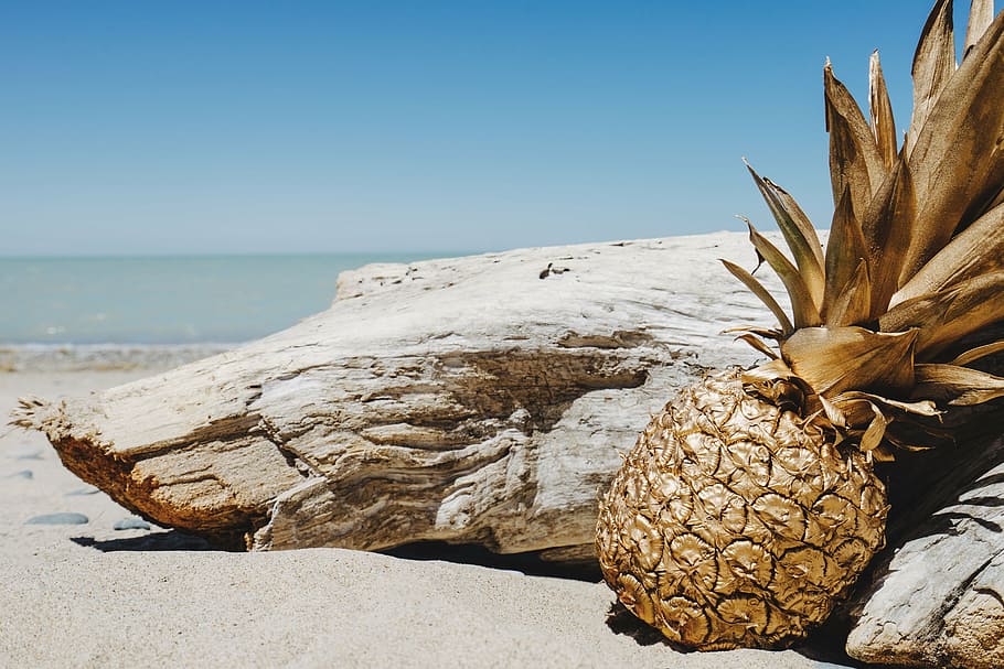 pineapple beside driftwood, pineapple, dessert, appetizer, fruit, juice, crop, beach, ocean, sea