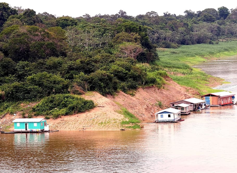 tapauá, amazonas, brazil, houseboats, architecture, landscape, river, purus river, tree, water