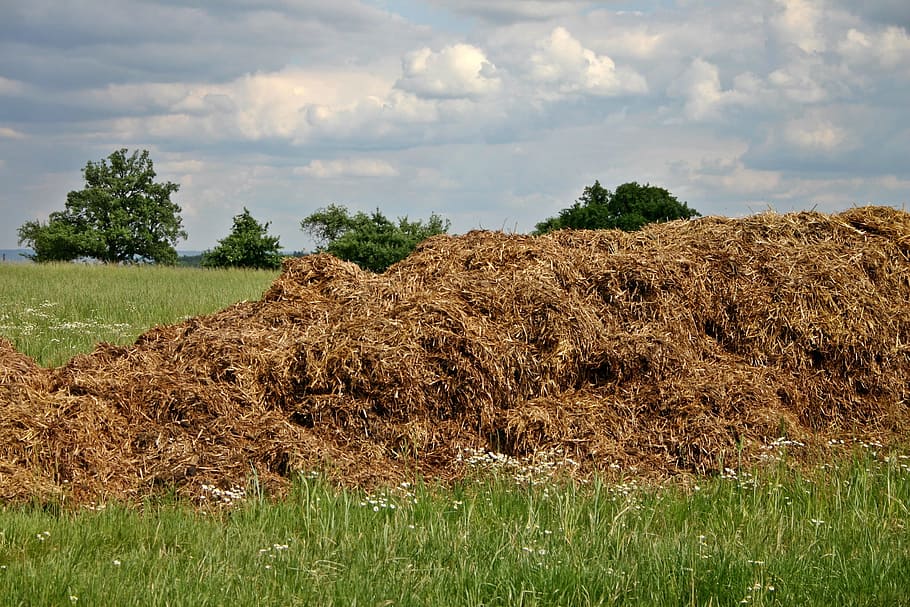 haystack, green, grass field, dung, crap space, crap, agriculture, livestock, farmyard manure, farmer