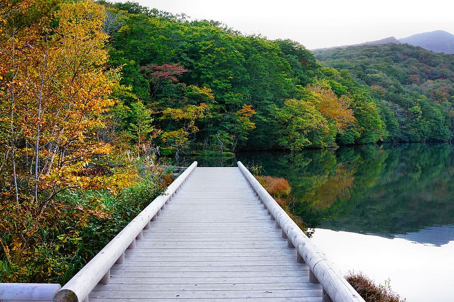 japan, lake, bridge, pond, tsutanuma, aomori, travel, reflection, autumn, nature