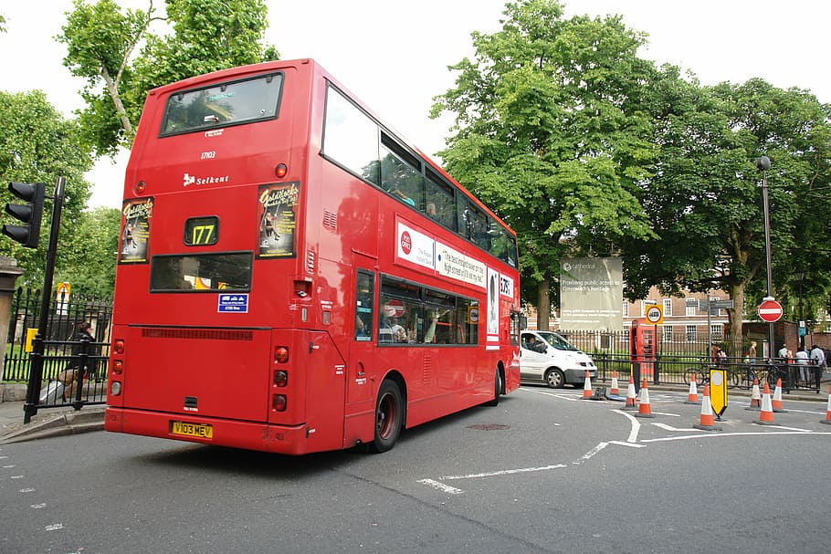 bus, london, england, tree, land vehicle, red, plant, transportation, city, street
