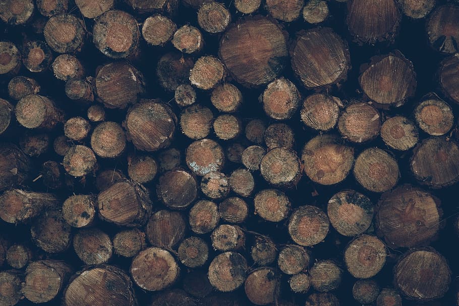 wood slab lot, logs, timber, wood, wooden, lumber, logging, firewood, stacked, stack
