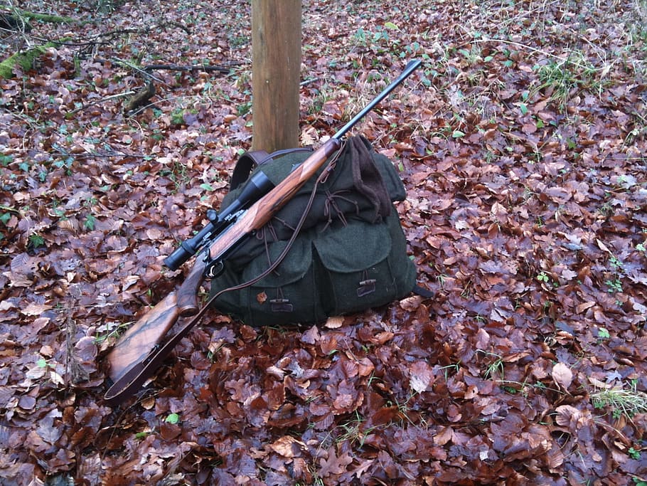 brown, sniper rifle, leaning, green, bag, Rifle, Hunting, Hunter, Backpack, Forest