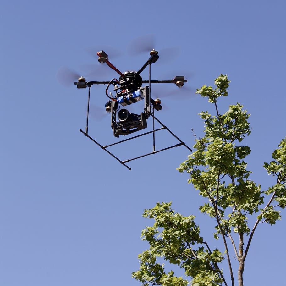 drone, aircraft, sky, low angle view, nature, clear sky, tree, plant, blue, day
