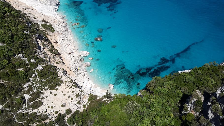 bird, eye view photography, island, sea, sardinia, mediterranean, coast, beach, turquoise, blue