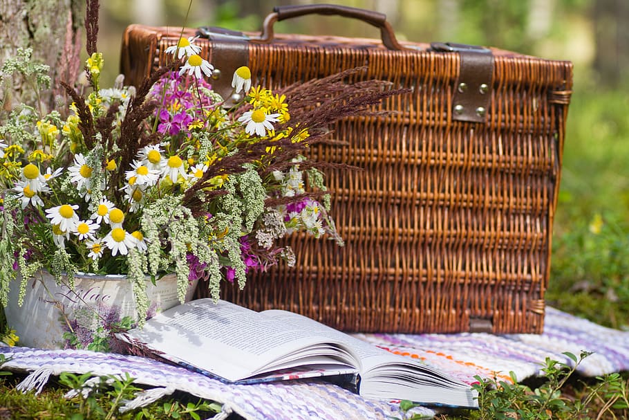 brown, woven, picnic basket, book, flowers, forest, bouquet, garden, paper, decorative