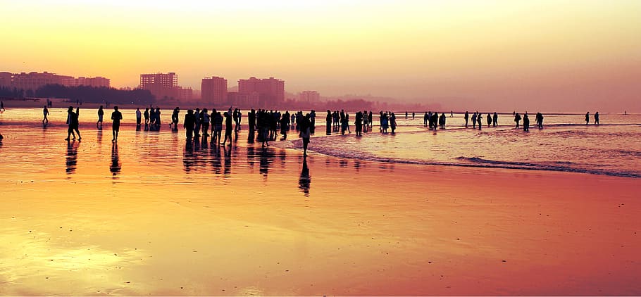 silhouette photo, people, walking, sea, golden, hour, crowd, crowd in beach, many people, beach