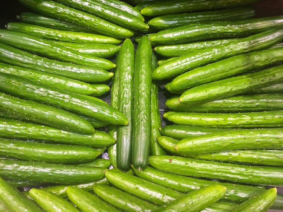 cucumber, green, vivid, vegetables, department, department store, saikaya, food, fresh, yokosuka