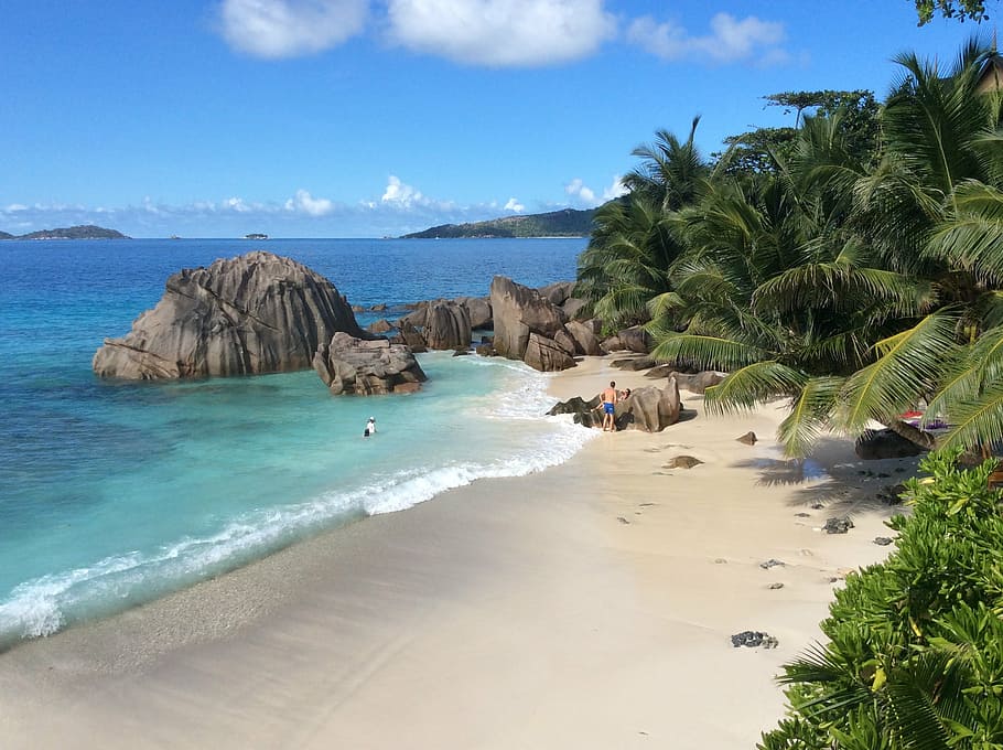 view, beach, surrounded, trees, blue, ocean water, daytime, seychelles, la digue, tropical
