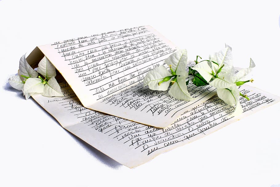 white, printing paper, flowers, letter, declaration of love, love, farewell, romantic, passion, in love