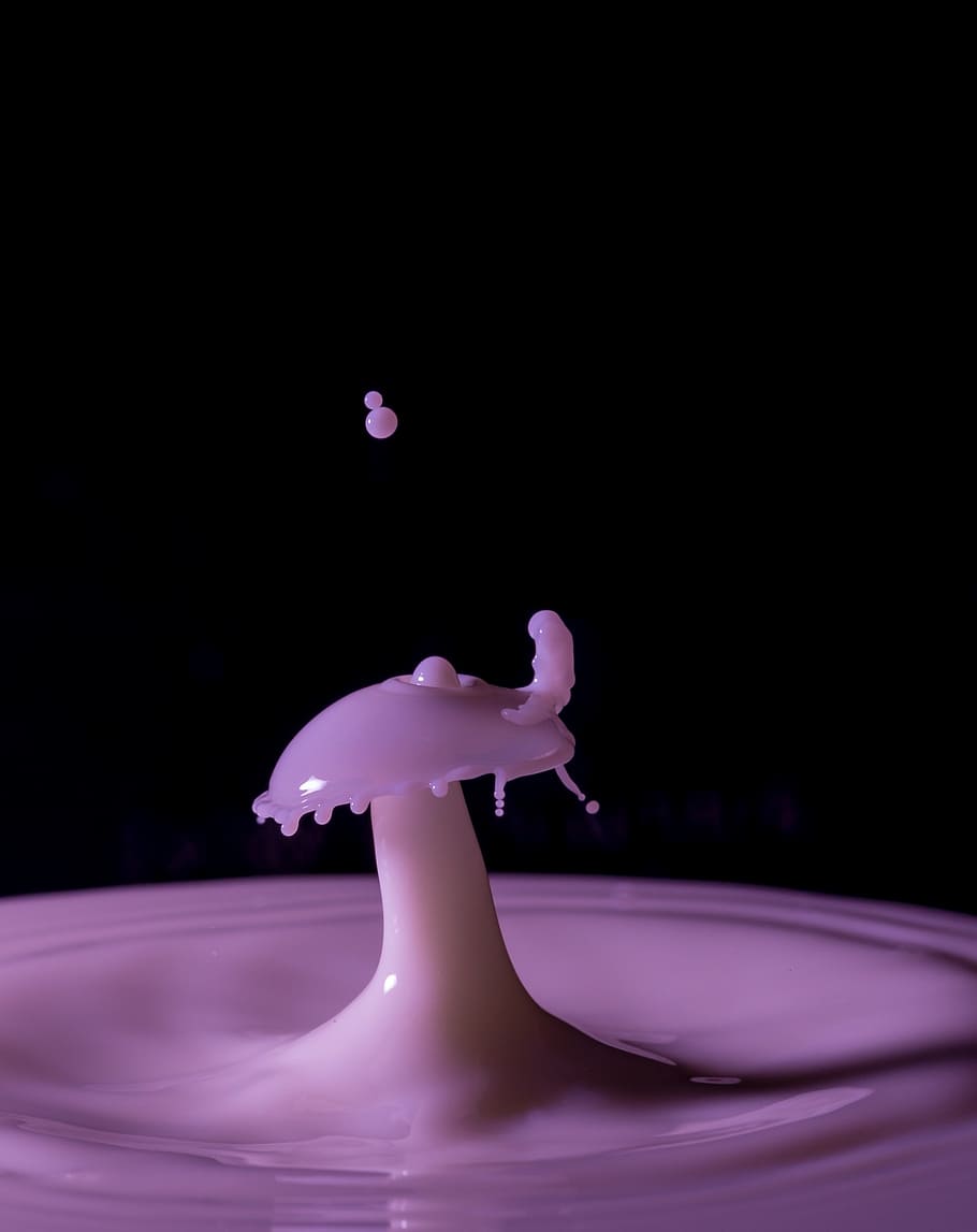 purple, liquid, impact, drops, milk, wool, mushroom, macro, detail, game