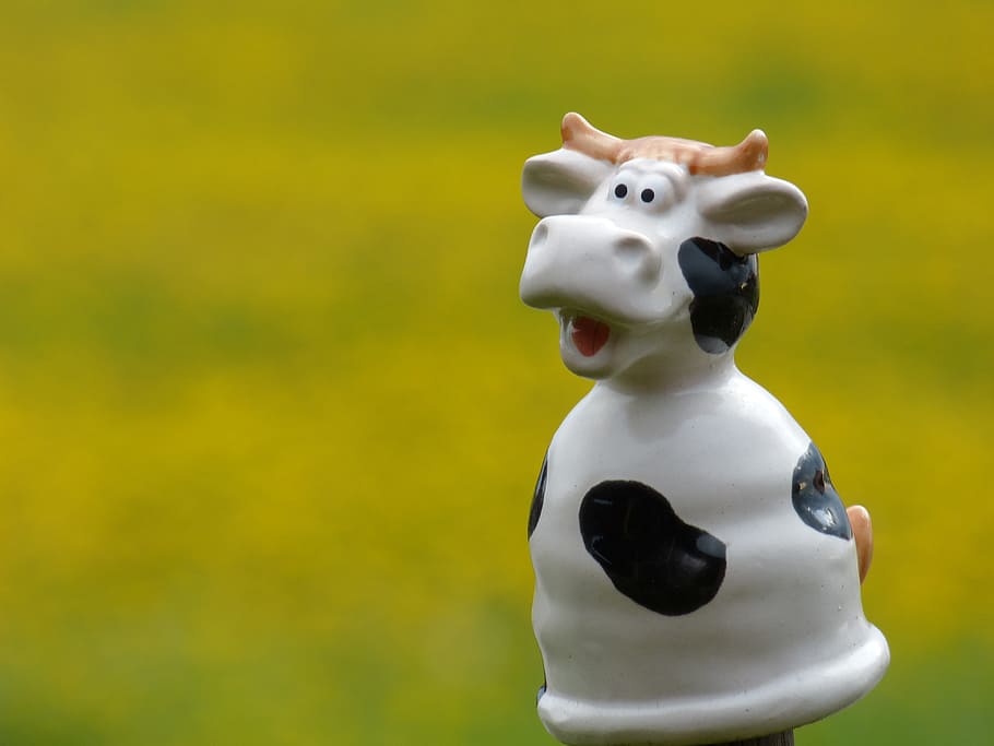Hãy ngắm nhìn bức hình về bò hài hước cùng các đồ chơi và tượng bò nhỏ xinh trên nền màu sắc đầy sức sống. Bạn sẽ được chiêm ngưỡng sự trẻ trung và đáng yêu của một bức tranh về chú bò đáng yêu này.
