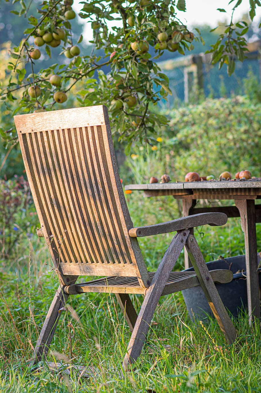 chair, wooden chair, garden, table, furniture, vintage, nature, summer, seats, rest