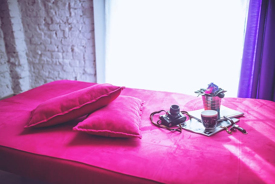 two, rectangular, pink, pillows, black, dslr camera, interior, design, loft, apartment