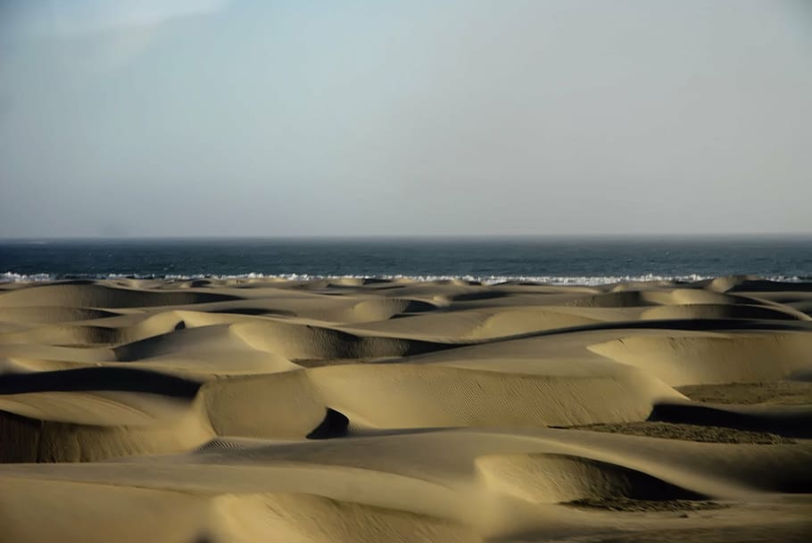 arena, dunas, desierto, mar, orilla, costa, naturaleza, playa, pacífico, agua