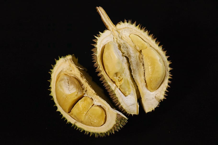 durian fruit, king of fruits, tropical, delicious, thorny fruit, malaysia, studio shot, black background, fruit, healthy eating