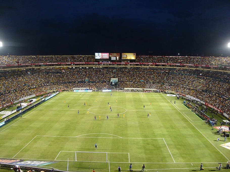soccer field, top, view photo, soccer, field, view, football, grass, night, evening