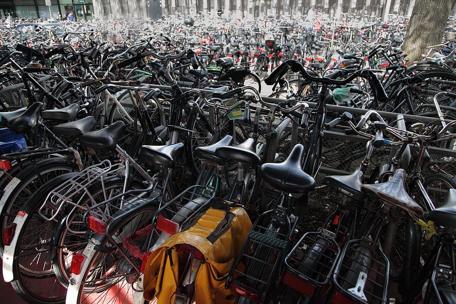 자전거, 자전거 타기, 도시, 붐비는, 주기, 네덜란드 사람, 틀, 네덜란드, 많은, 주차
