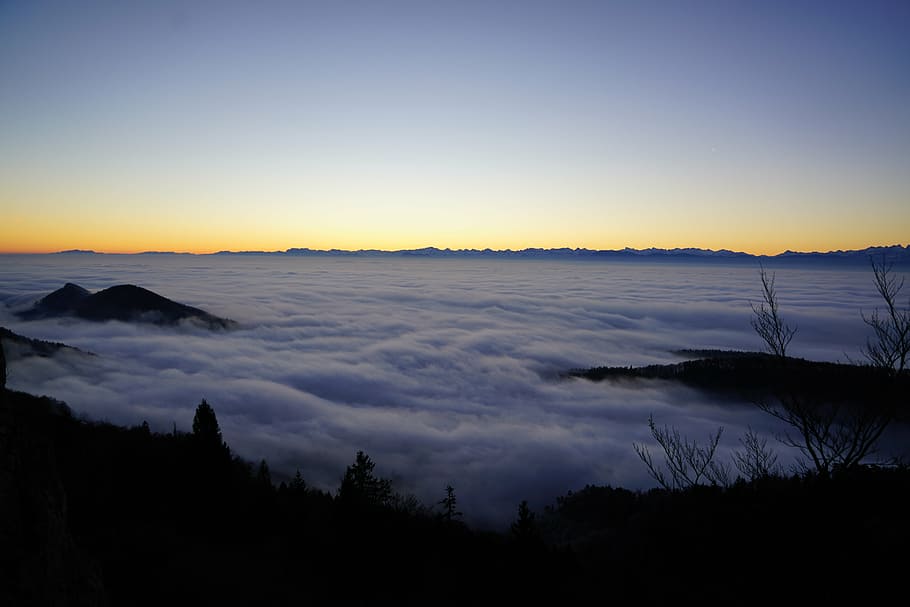 fog, nebellandschaft, forest, trees, homberg, belchenflue, alpine, alps, horizon, vision